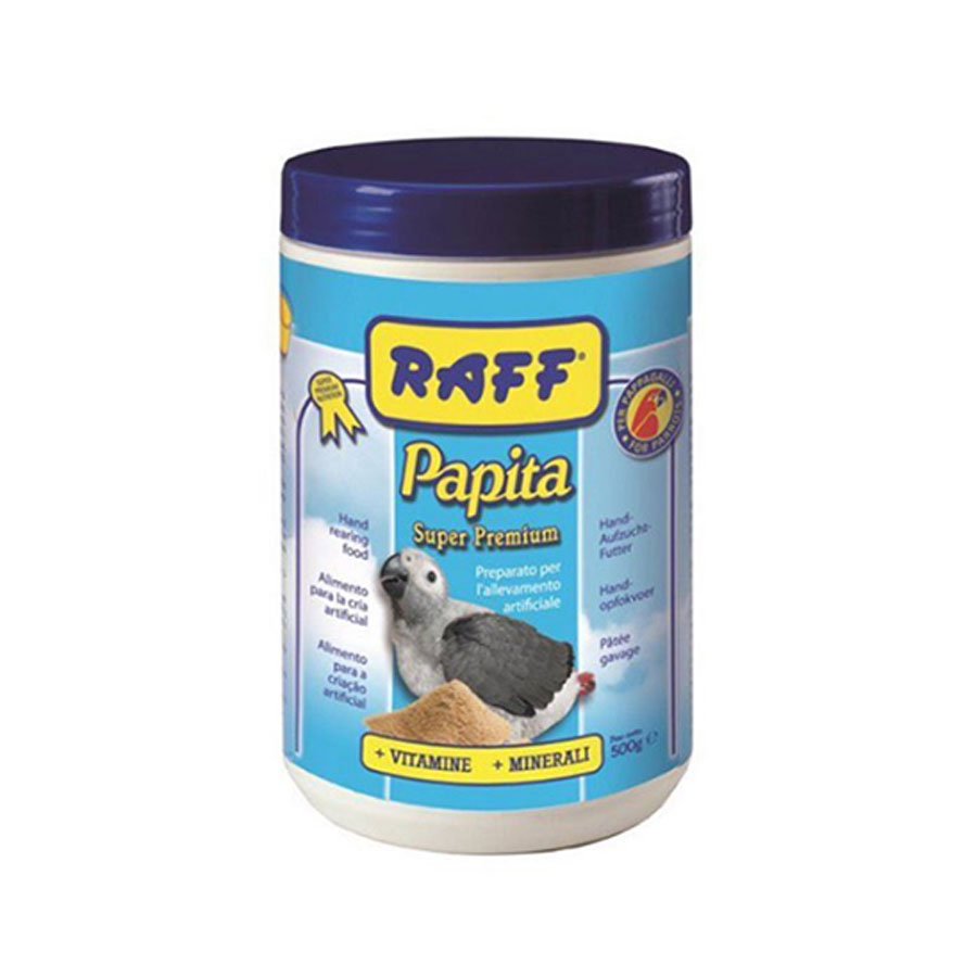 سرلاک طوطی راف ایتالیا – Raff Papita